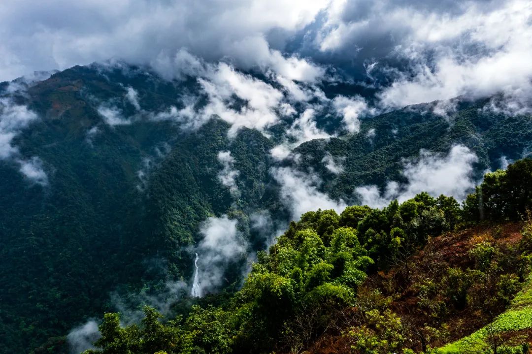 哀牢山的自然秘境与文化宝藏之旅