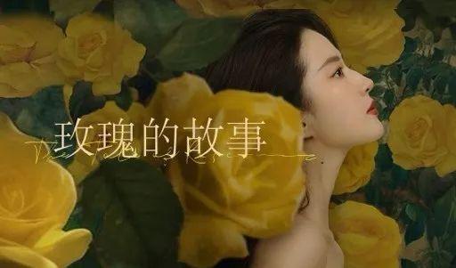 玫瑰传奇，绽放的美丽与坚韧的力量