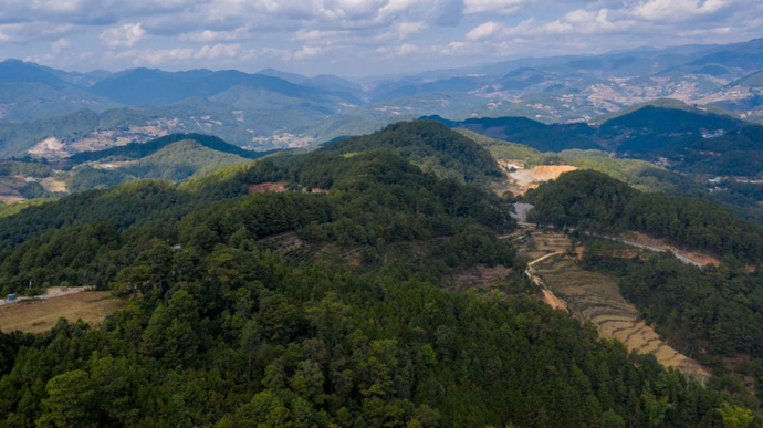 哀牢山，自然魅力与人文探索之旅