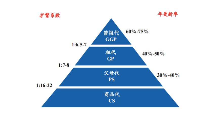 牧原股份，行业翘楚的崛起轨迹