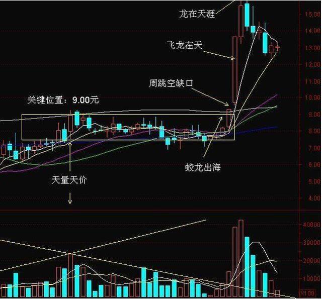 特朗普坚定立场，不抛售股票，助力市场稳定