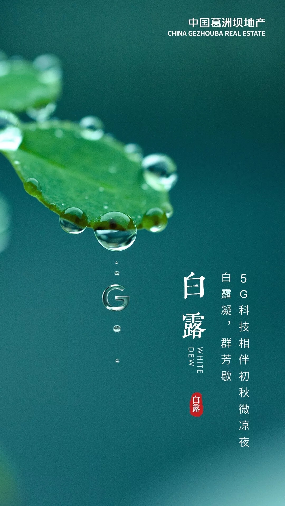 白露时节，秋意渐浓的韵味与习俗盘点