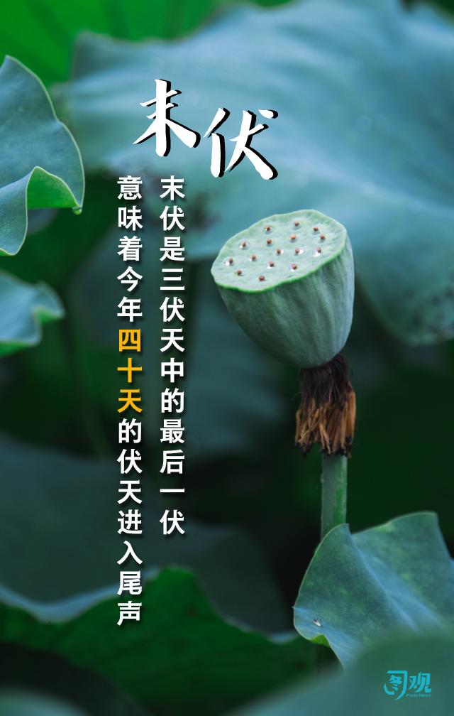 三伏天炙热下的挑战与应对